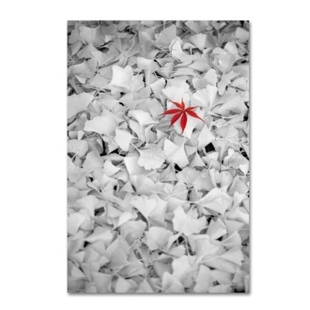 Trademark Fine Art Philippe Sainte-Laudy 'Rebel Leaf' Canvas Art, 22x32 PSL0443-C2232GG